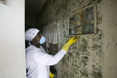 Masked worker in rubber gloves wiping a mold covered wall